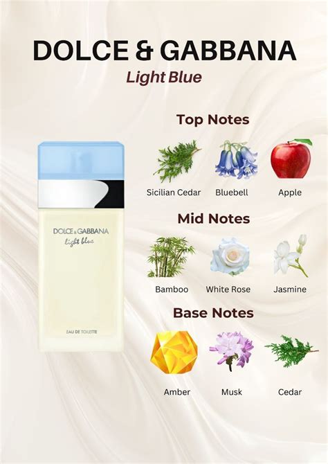 dolce gabbana light blue perfume notes